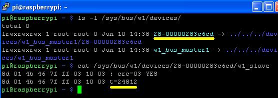 Find your DS18B20 temperature sensor on your Raspberry Pi