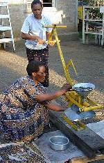 Manually pressing jatropha seeds to extract oil for biodiesel production.