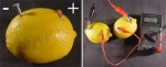 Lemon Battery